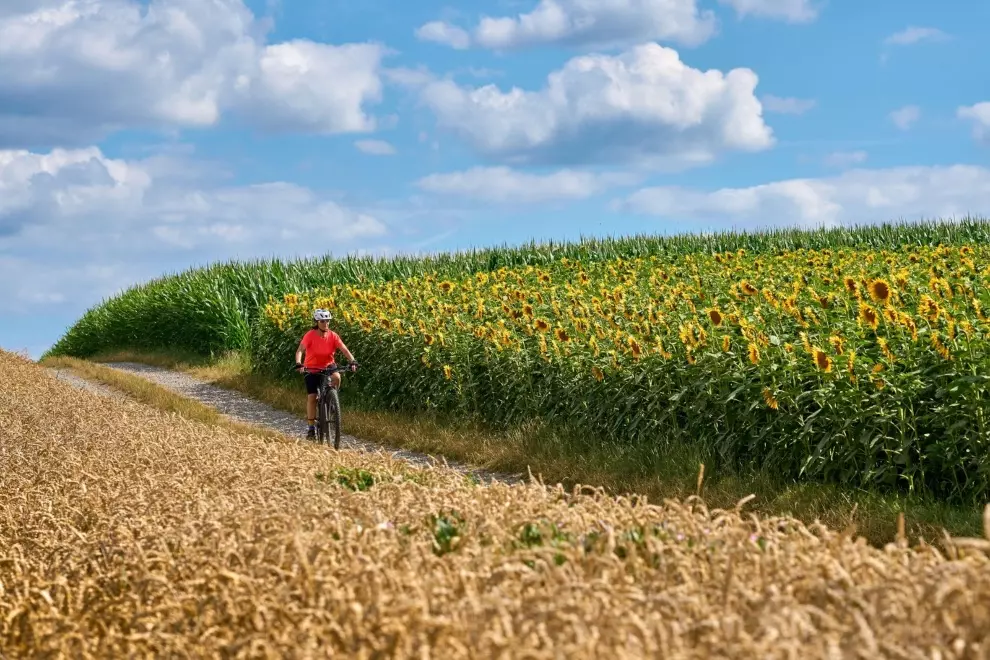 How to Train in Hot Weather Without Destroying Your Performance