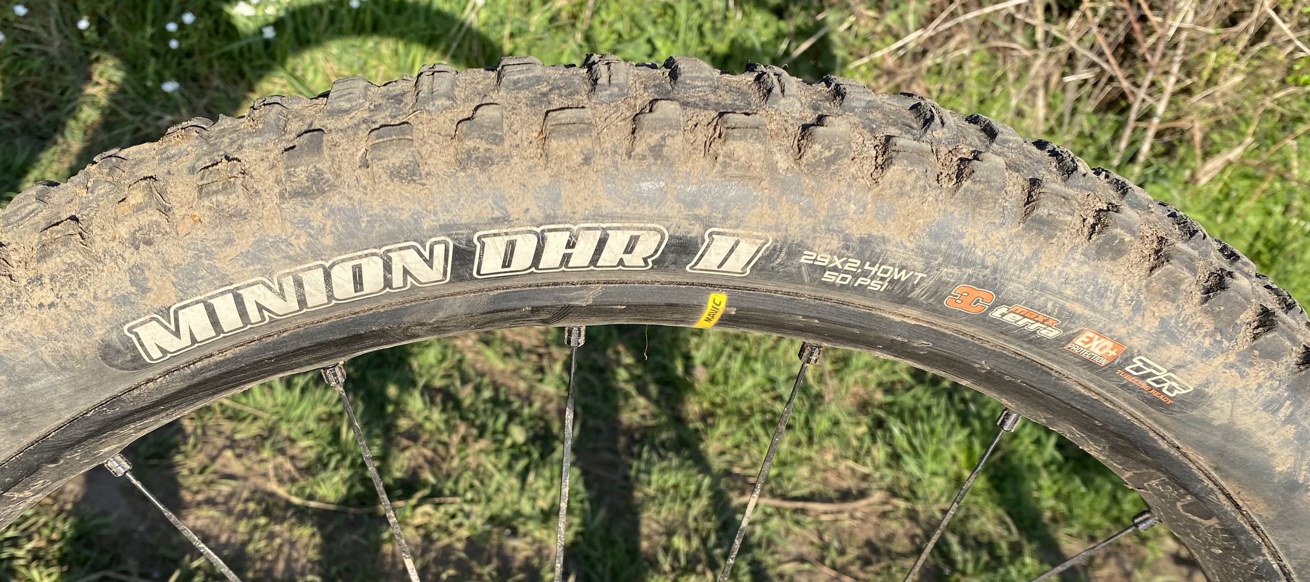 Examen du Maxxis Minion DHR II