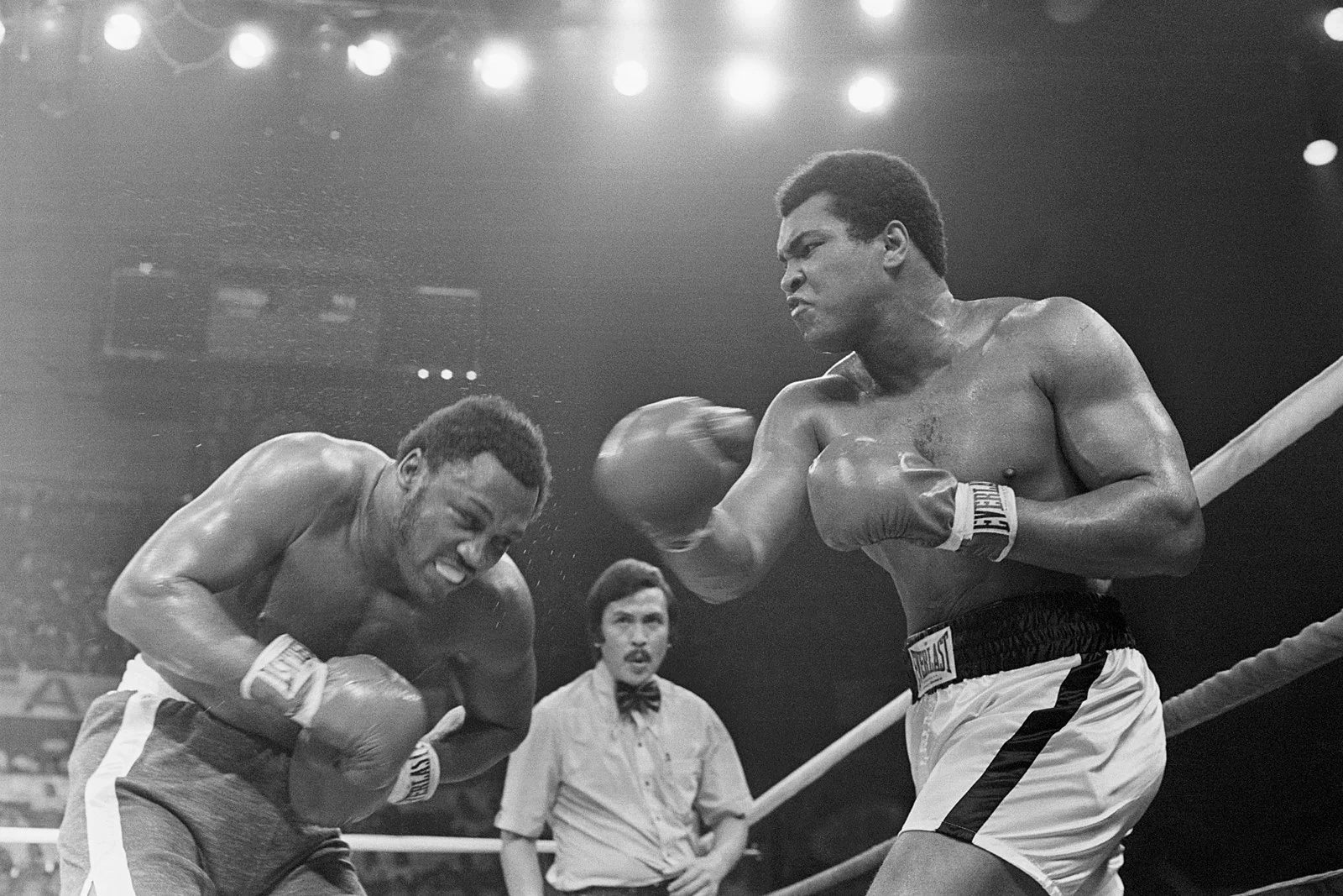 Les plus grands combats de boxe de tous les temps !