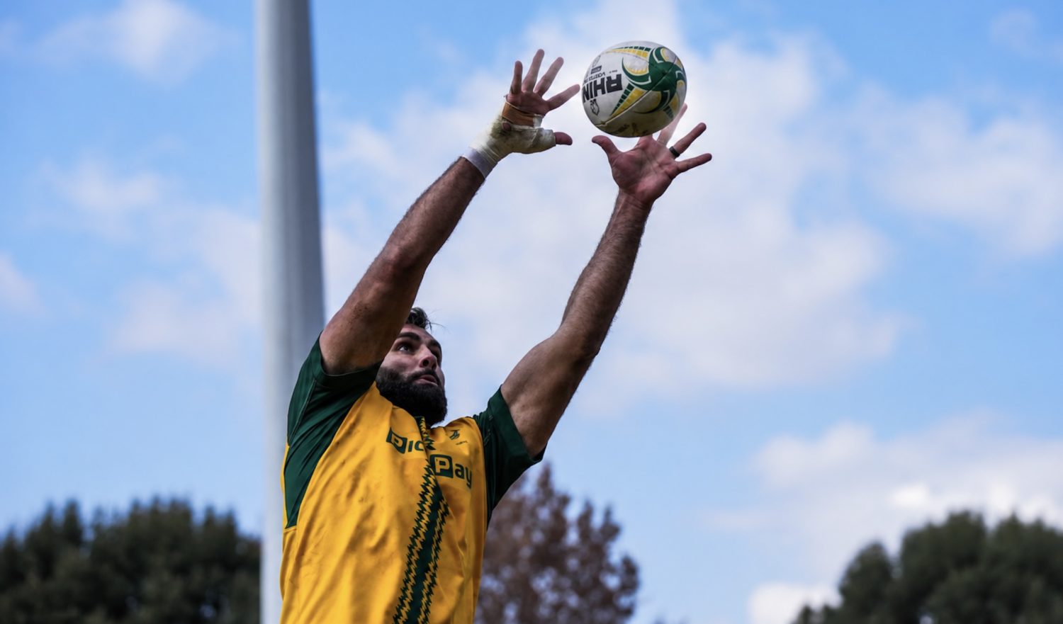 Pourquoi Stormers verrouille Bok hoche la tête