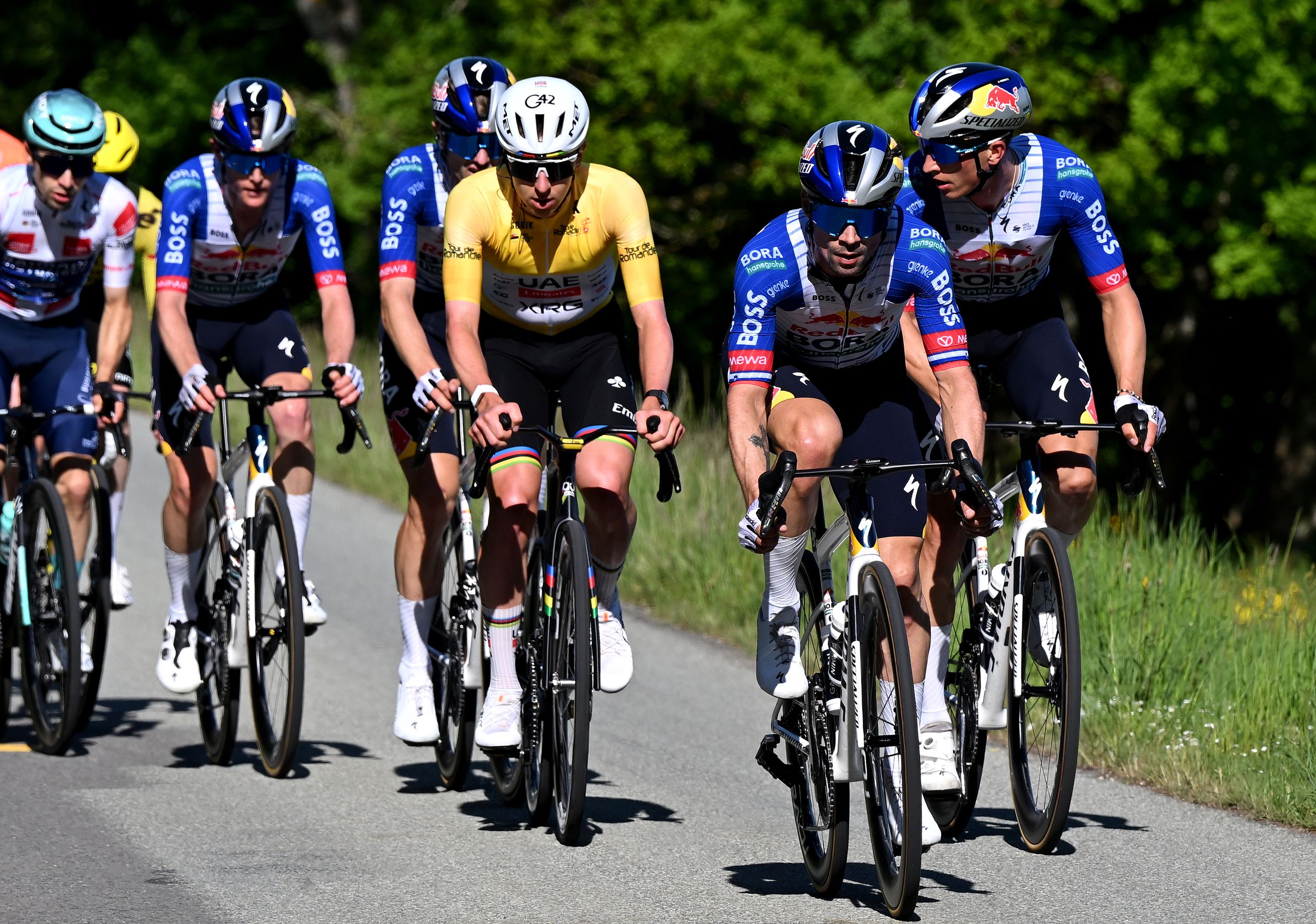 Primoj Roglic défie Tadej Pogačar au Tour de Suisse pour remporter un ensemble complet de titres du classement général dans les sept grandes courses par étapes d'une semaine du cyclisme.