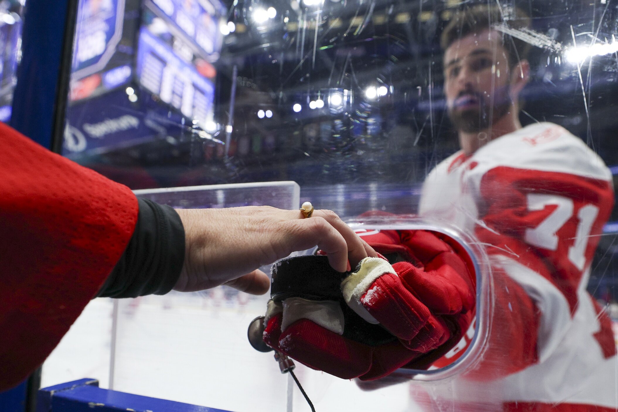 Un échange contre Dylan Larkin forcerait le Wild à faire le choix de Sophie – Minnesota Wild